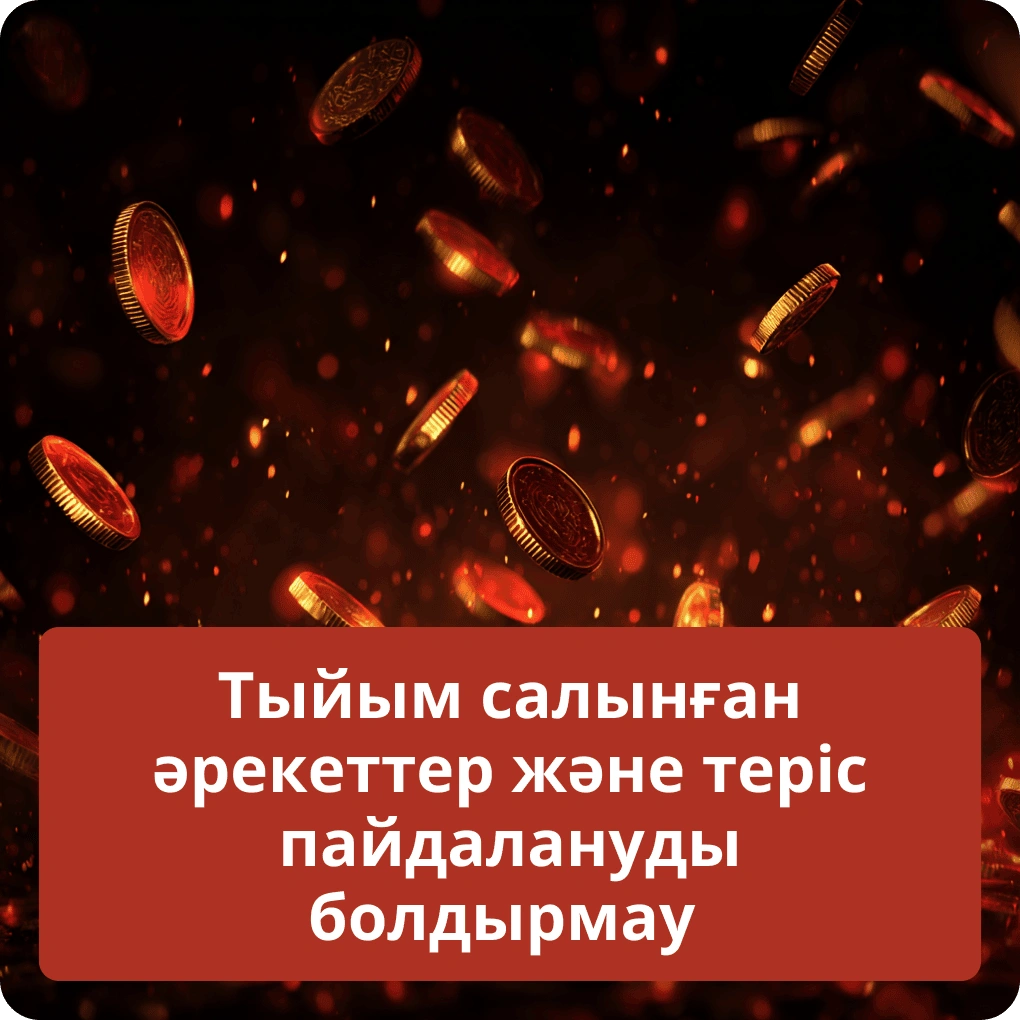 Тыйым салынған әрекеттер және теріс пайдалануды болдырмау